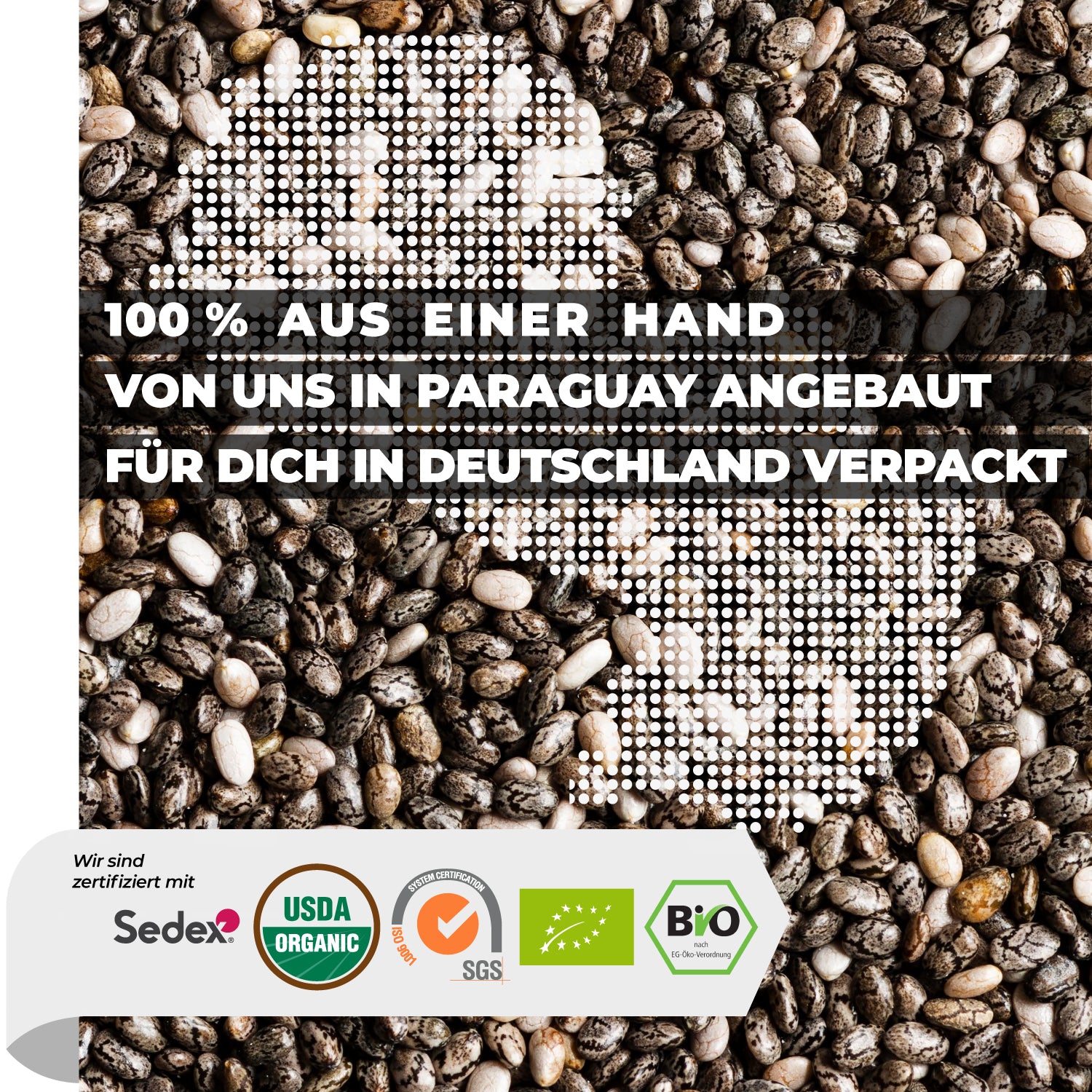 Bio Chia Samen in Nahaufnahme – schwarze Saat aus nachhaltigem Bio-Anbau