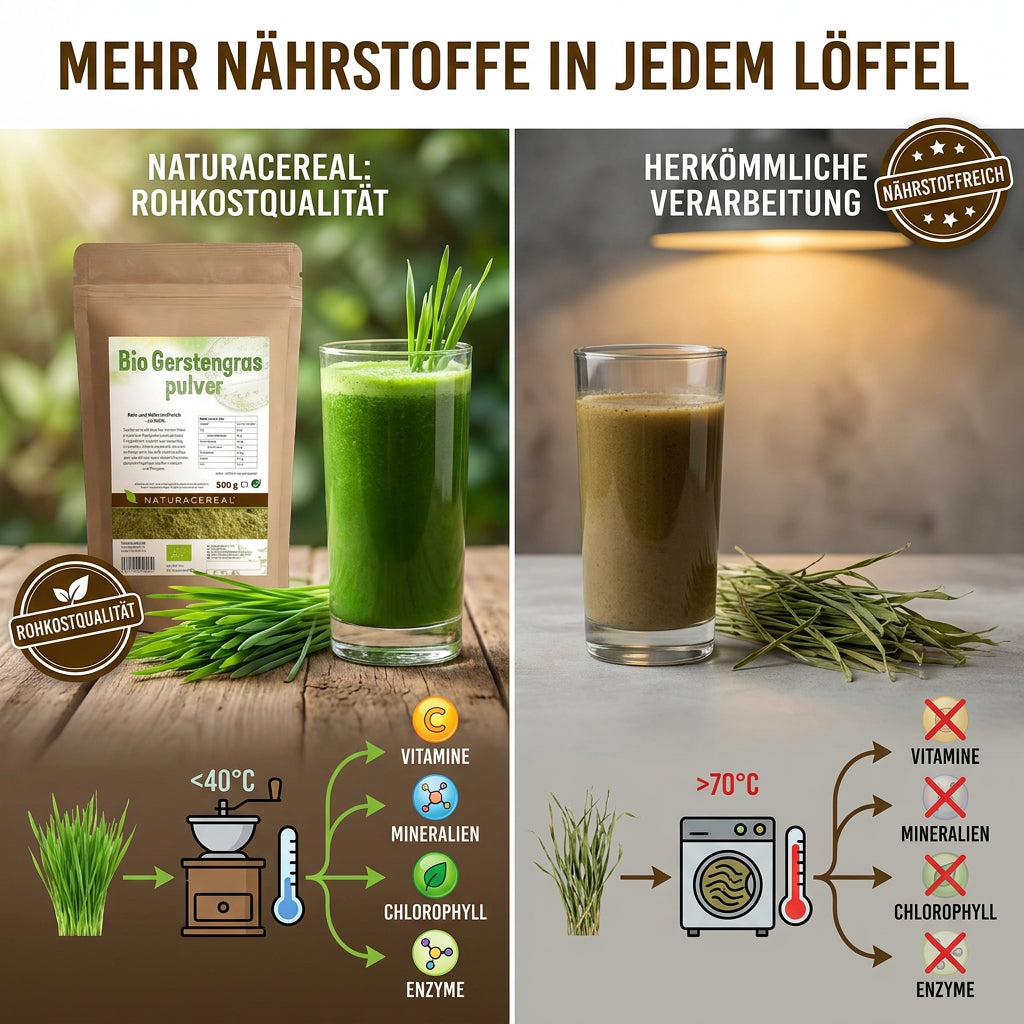Bio Gerstengraspulver Anwendung in Smoothies, Säften und Wasser